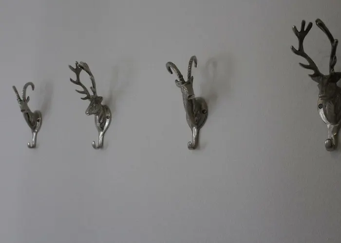 Moltke * Herbolzheim